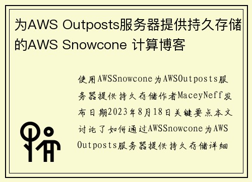 为AWS Outposts服务器提供持久存储的AWS Snowcone 计算博客